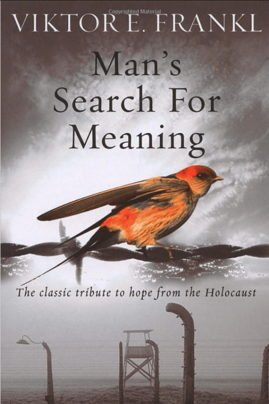 Man's Search for Meaning - Book Cover